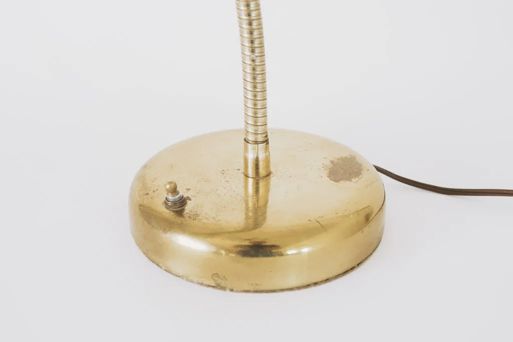 Brass Gooseneck Lamp