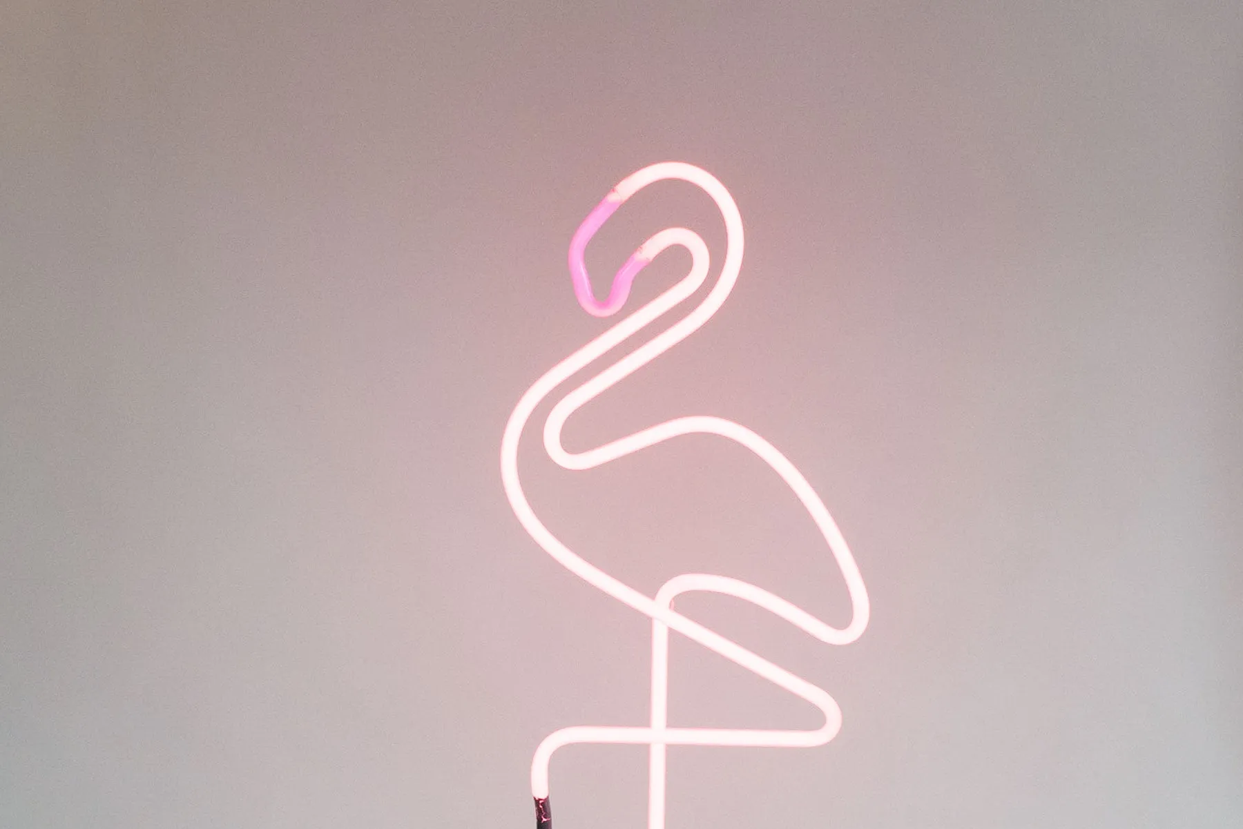 Flamingo Neon Lamp