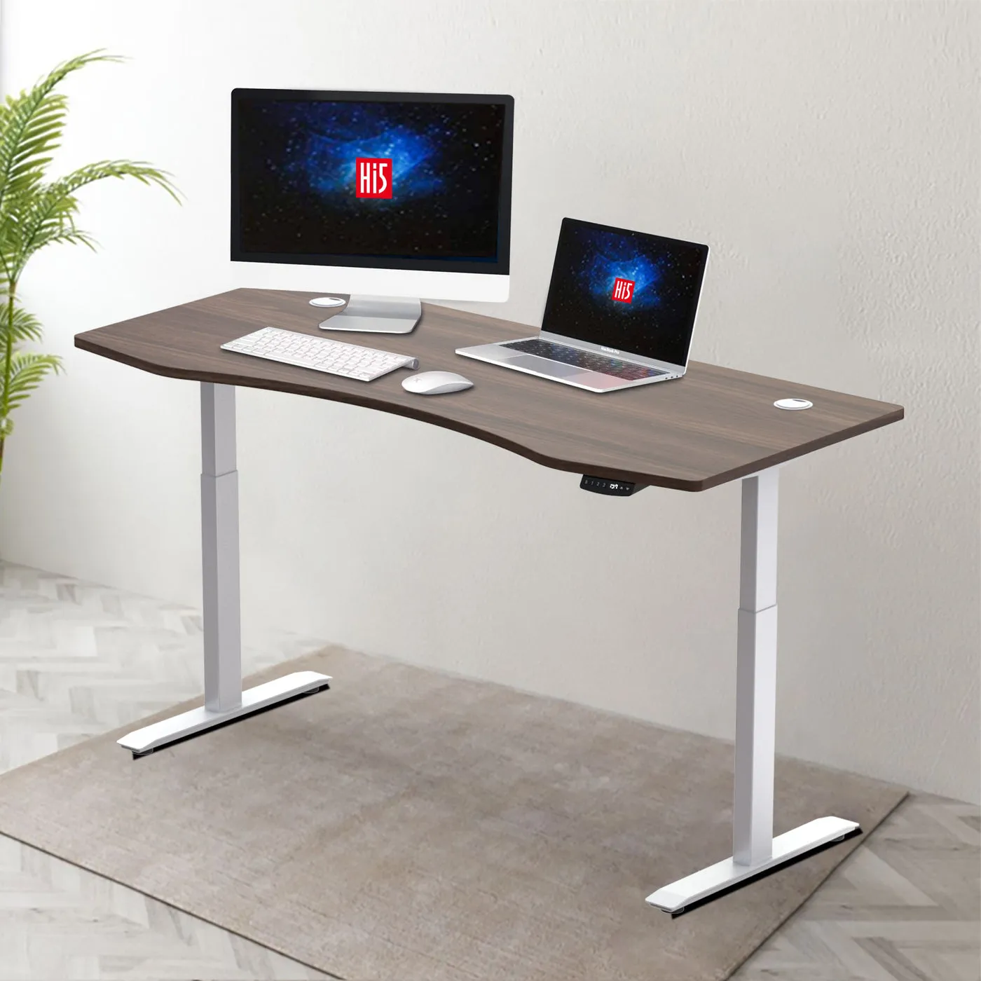 Hi5 Standing Desk with Ez Ergonomic Shape Table Top for Home Office Workstation with 4 colour options (UK Plug) Different sizes   Colours