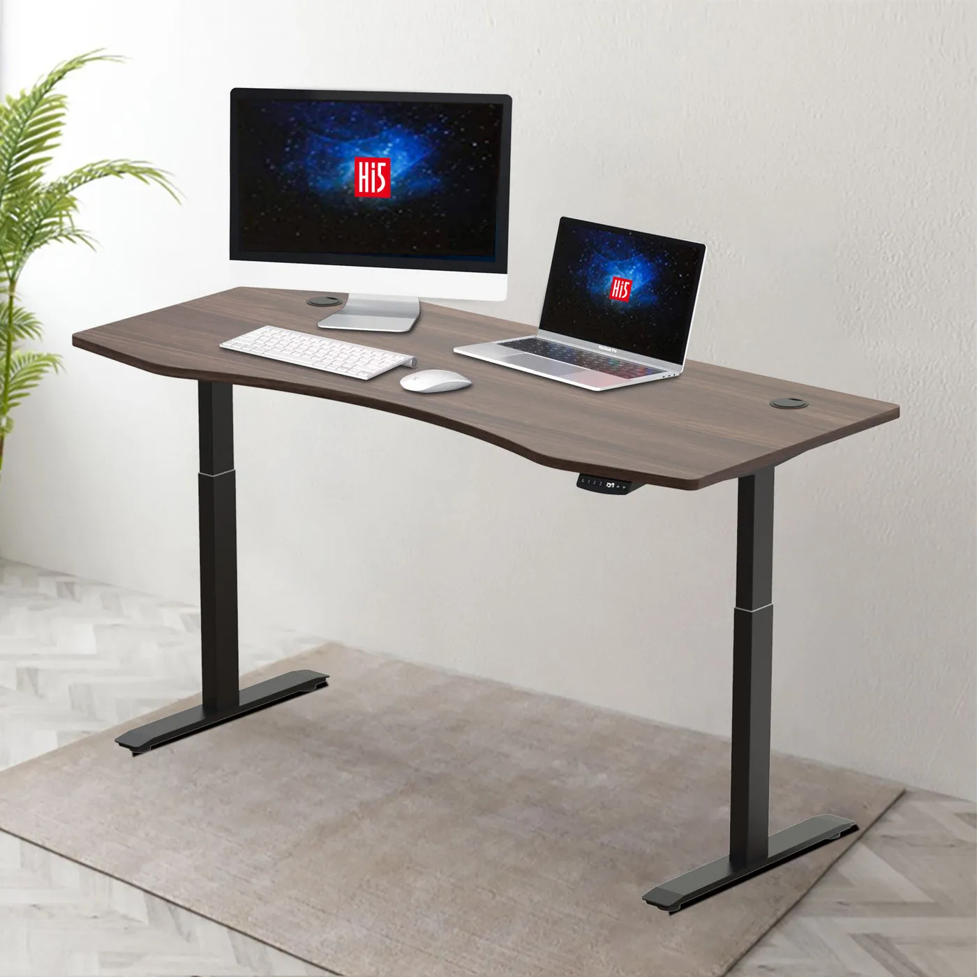 Hi5 Standing Desk with Ez Ergonomic Shape Table Top for Home Office Workstation with 4 colour options (UK Plug) Different sizes   Colours