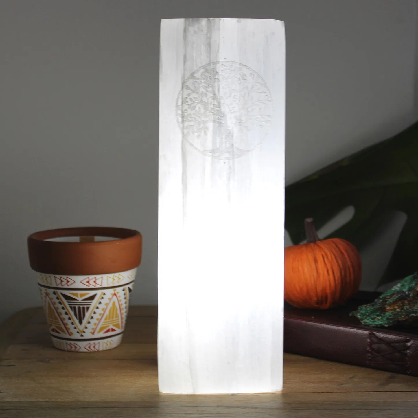 Natural Selenite Block Lamp - Choice of Two