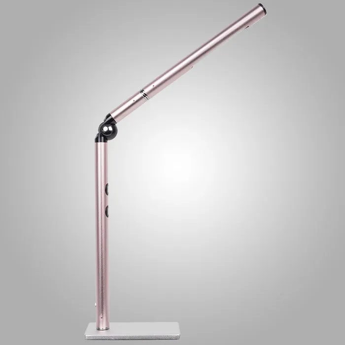 Otsego Dynamic Color LED Desk Lamp w/ Battery Backup