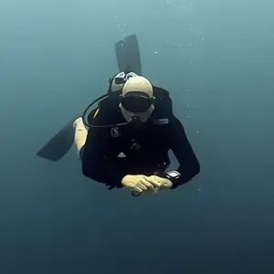 Single Dive (Certified divers)