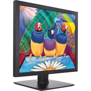 ViewSonic VA951S 19" 5:4 IPS Monitor